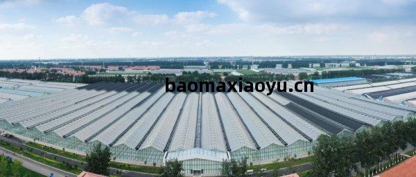 基地簡(jian)介(jie) 計算機(ji)系統(tong)服(fu)務