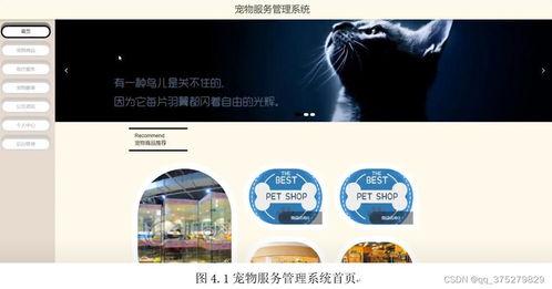 基於(yu)Spring Boot與(yu)Vue的(de)寵物(wu)服(fu)務(wu)管理系(xi)統(tong)設計與(yu)實現(xian)